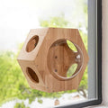 Cat Wall Shelves, Corner Climbing Shelf Perches, Kit Shelf, Suct Cup Support, Load-Bearing 20kg