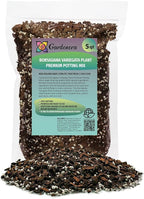 Premium Monstera Borsigiana Potting Mix - Retains Moisture and Promotes Root Growth by Gardenera - 5 Quart