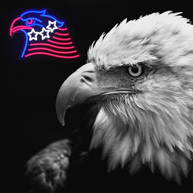 Patriotic Eagle Flag Neon Sign USA Stars and Stripes LED Sign for Wall American Flag Neon Lights Signs for Bedroom Memorial Day 4th of July Independence Day American Eagle Day Decorations