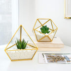 Mkono 4 Inches Mini Glass Geometric Terrarium Container Set of 3 Modern Tabletop Planter Shelves Decor Display Centerpiece for Succulent Miniature Fairy Garden Air Plant, Gold (Plant Not Included)