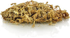 Premium Grade Sphagnum Moss by Gardenera - Organic Hand Mixed New Zealand Long Fibered Sphagnum Moss Orchid - 2 Quart