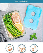 Healthy Packers Ice Packs for Lunch Boxes & Coolers - Freezer Packs - Original Cool Pack | Cooler Accessories for Beach, Camping & Fishing | Slim & Long-Lasting Reusable Ice Pack for Cooler
