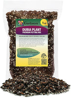Premium Monstera Dubia Plant Potting Mix - Enhanced Aeration and Nutrient Retention - 1 Quart
