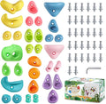 TOPNEW 32Pcs Rock Climbing Holds, Multi Size Climbing Wall Grips for Kids & Adults, Weather Resistant Bouldering Rocks with Hardware, Indoor Outdoor Playground DIY Rock Wall Holds, Ideal