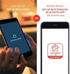 Sengled Smart Edison Bulbs, S1 Auto Pairing with Alexa Devices, Vintage Smart Light Bulbs That Work with Alexa, Bluetooth Mesh Smart ST19 Led Bulb 60 Watt Equivalent, 2000K E26 (2 Pack)