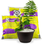 Gardenera Organic Perlite - Medium/Fine Grade (5 Quart Bag) Horticultural Soil Amendment for Indoor & Outdoor Container Plants for Drainage Management and Enhanced Growth
