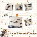 6-in-1 Cat Wall Shelves for Indoor Cats, Wall Mounted Furniture with Bed, Cave, Perch & Scratching Post, Multi-Level Climbing System, Space-Saving Playground, Natural Wood Gray