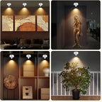 Cordless Spotlight Battery Powered, Plant Spot Light Indoor, Rechargeable Picture Lights with Remote, LED Accent Lighting, Dimmable Uplight for Tree Dartboard Decor Painting Art Photo