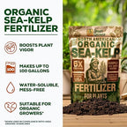 Organic Sea Kelp Fertilizer for Plants – Water-Soluble – Makes 100 Gallons – Kelp Meal Concentrate Plant Food – for Indoor Gardens, Hydroponics, Vegetables, Houseplants - Smart Grower - 4oz Bag