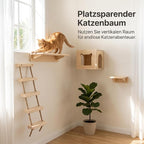 with Shelves for Climbing and Play, Small Jumping Platform
