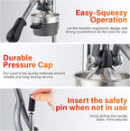 Manual Cast Iron Juicer, Gray Lemon Citrus Squeezer | Detachable Cone, Free Stainless Steel Cup, Extracts Juice from Lemons, Oranges and Grapefruits, Easy to Clean