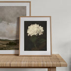 XOCUUI Unframed Vintage Wall Art for Living Room, Flowers Painting Canvas Prints Shelf Decor for Kitchen, Aesthetic Bedroom Wall Art, Christmas Gifts for Friends or Family (White Hydrangea 11"x14")