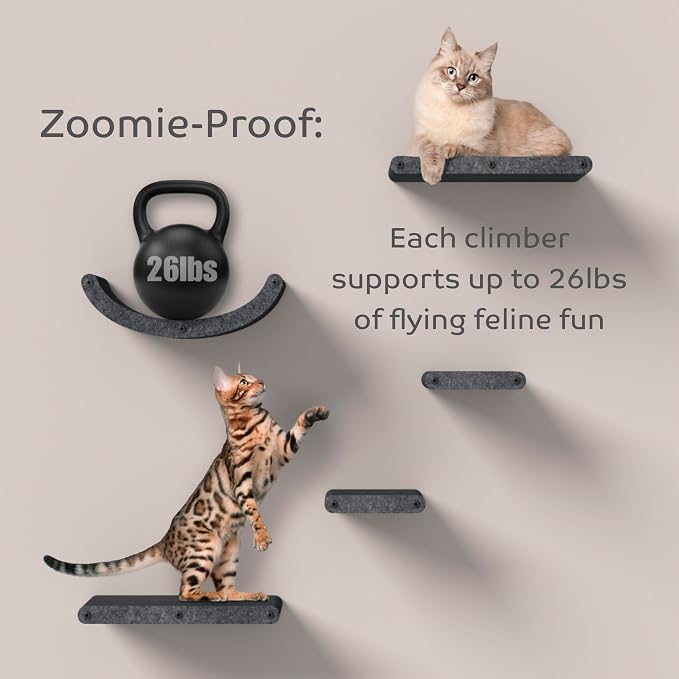 Wall Mounted Cat Perch Long Shelf by Pryde Pets - Floating Hammock Bed, 100% Sustainable PET Felt Feline Enrichment Climber Furniture for Indoor Cats, Modern Climbing Gym Jungle Design (Charcoal)