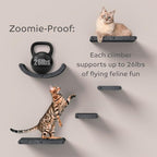 Wall Mounted Cat Perch Long Shelf by Pryde Pets - Floating Hammock Bed, 100% Sustainable PET Felt Feline Enrichment Climber Furniture for Indoor Cats, Modern Climbing Gym Jungle Design (Charcoal)