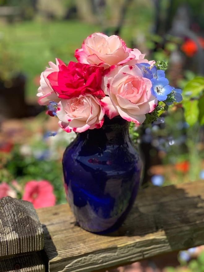 Floral Supply Online - 8" Rose Vase and Flower Guide Booklet - Decorative Glass Flower Vase for Floral Arrangements, Weddings, Home Decor or Office. (Cobalt)