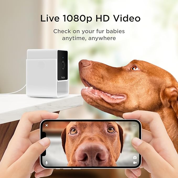 Petcube Cam The Pack of 3 | Indoor Wi-Fi Pet Security Camera with Phone App, 2-Way Audio and Video, Night Vision, 1080p HD Video and Smart Alerts