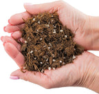 Premium Gardenera House Plant Potting Mix | Fern + New Zealand Bark + Perlite | Great for Pothos, Spider Plants, Montsera, Philodendron, English Ivy - 5 Quart Bag
