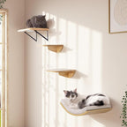 Cat Window Perches, Curved Cat Wall Sisal Mat Bed and 2 Floating Wall Steps, Wall Mounted Climbing Shelves for Sleeping, Playing, and Lounging