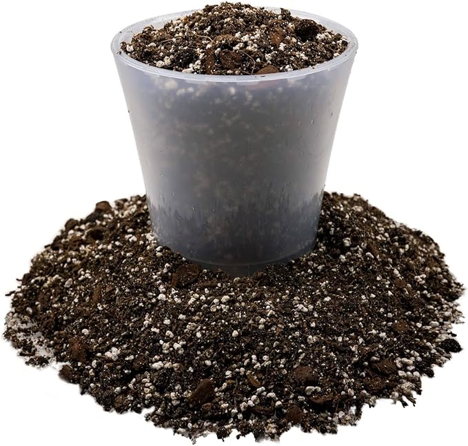 Gardenera Fiddle Leaf Fig Soil Mix - 20 Quart - Premium Blend of Peat Moss, New Zealand Bark, Coco Chips, and Perlite for All Purpose Planting - 4 Bags of 5 Quart