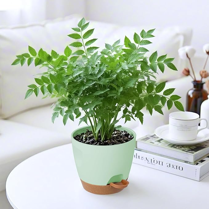 5-Pack Plant Pots with Drainage for Winter Care 7/6.5/6/5.5/5 Inch, Self Watering Pots for Indoor Plants, Planters for Indoor Outdoor Plants, Plastic Flower Pot, Planter for Indoor Outdoor (Green)