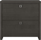 Bush Business Furniture Lateral Cabinet with Satin Silver Hardware | Echo Collection 2 Drawer Filing Unit for Home Office or Professional, 31W, Charcoal Maple