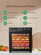 FOHERE Food Dehydrator 1000W 10 Trays with Digital Timer 176 Degrees | Large 9.04 square foot drying space with light. For dog treats, herbs, meat, fruit and yogurt.