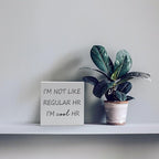 Funny Desk Decor Home Office Decor for Women I’m Not like Regular Hr I’m Cool Hr Human Resources Office Decor Wooden Signs Office Shelf Decor Desk Accessories Funny Office Gifts Funny Signs (5x5inch)