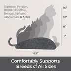 Accessory ADD-ON Long Shelf Facade Covers Compatible with Cat Wall Shelves by Pryde Pets - 100% Sustainable PET Felt - Climber Sold Seperately - Cats Perch Privacy and Safety Bumpers (Charcoal)