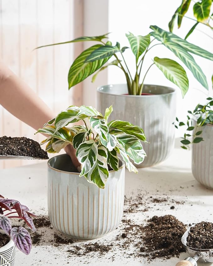 LE TAUCI Fluted Ceramic Planters Set of 3 – 8.3/7 / 5.7 in Star White Reactive Cylinder Indoor Plant Pots with Drainage Plug & Mesh, Glossy Stoneware Flower Pots for Succulents Herbs