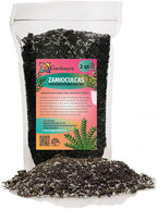 Elevate Your Space with Gardenera's Organic Potting Mix - Tailored for Thriving Zamioculcas Plants and Distinctive Leaves - 2 Quart, MAIN-ZAMIOCULCAS-2QT