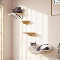 Cat Wall Shelves and Cats Window Perch – Natural Wood 4-Piece Set with Foam-Padded Curved Bed and Felt Steps, Space-Saving Wall Mounted Design