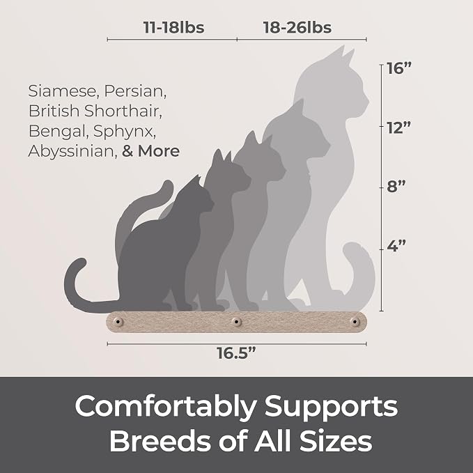 Wall Mounted Cat Perch Long Shelf by Pryde Pets - Floating Hammock Bed, 100% Sustainable PET Felt Feline Enrichment Climber Furniture for Indoor Cats, Modern Climbing Gym Jungle Design (Oatmeal)