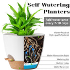 White Self Watering Pots with Drainage Planting Pot for HousePlants Plastic Flower Pots Outdoor Plant Pots Gift Idea Decorative Flower Pots Draining Pots for Indoor Plants