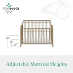 Little Seeds Ivy 3-in-1 Convertible Metal Crib, JMPA Certified, Gold
