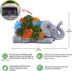 Nacome Elephant Statues with Succulent for Garden Decor: Solar Outdoor Clearance Outside Yard Art Porch Patio Balcony Front Lawn Ornaments –Birthday Gifts for Mom Grandma Women