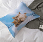 Cat Comforter Set Queen Size for Kids Blue Cat 3Pcs Bedding Set for boys and Girls (1Summer Comforter+ 2 Pillowcases) Lovely Animal Pets Duvet Set