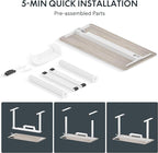 FLEXISPOT Standing Desk Quick Assembly Electric Stand Up Desk Whole-Piece Desktop Ergonomic Memory Controller Height Adjustable Desk(White Frame + 40" Grey Wood Grain Desktop)