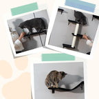 5 Pcs Wall-Mounted Climber Set, Wood Indoor with Shelves and Perches, Ladder, Condo House, Scratching Board and Tree, Wall Shelves Furniture for Cats (Black)