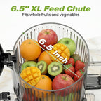 Juicer Machines with 6.5" Large Chute,3-in-1 Cold Press Juicer for Whole Vegetables Fruits 450W, Masticating juicer Easy to Clean Juice Extractor Machine for Making Nut Mike, (Premier Space Gray)