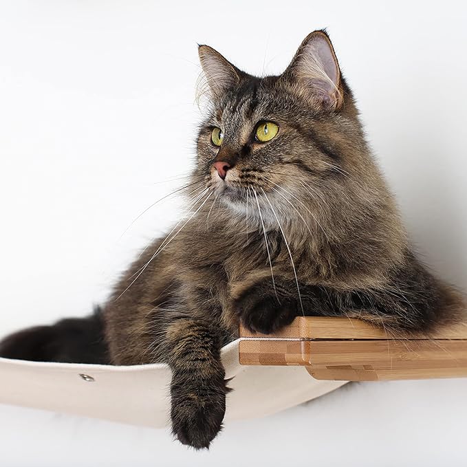 CatastrophiCreations Cat Lounge Hammock Wall Mounted Lounger for Climb and Play Furniture Cat Tree Shelves, Natural Bamboo/Natural Canvas, one Size