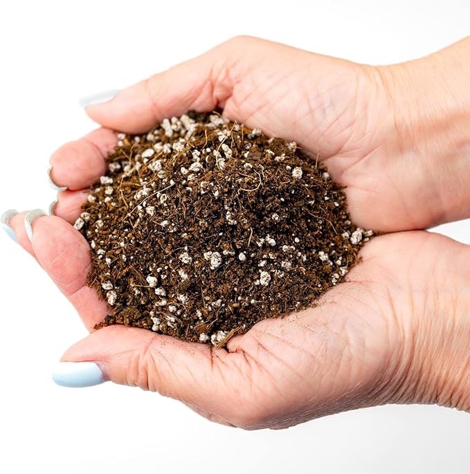 Gardenera Professional Carnivorous Plant Soil - Ready to Use for Venus Flytraps, Sundews, Pitcher Plants, Butterworts | Peat Moss, Coco Coir, Perlite - 3 Quart Bag