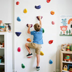 TOPNEW 20PCS Rock Climbing Holds for Kids, Climbing Rocks for Play Set, Swingset - Adult Rock Wall Holds with Mounting Hardware for Indoor Outdoor, Bright Color