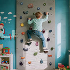 TOPNEW 20PCS Rock Climbing Holds with Mounting Hardware - Climbing Rocks for Indoor/Outdoor Kids Adults Rock Wall, Play Set & Climbing Gym, Dark Color