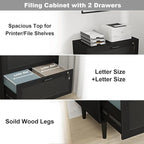 2 Drawer File Cabinet, Lateral File Cabinet with Lock, Rattan Wood Filing Organization Cabinet for Home Office, Black