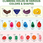 SEKKVY 32 Rock Climbing Holds for Kids and Adults, Multi Size Colorful Plastic Wall Grips with 2 Inch Mounting Hardware, Indoor Outdoor Playground Set