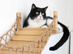 CatastrophiCreations Cat Bridge Wall-Mounted Play and Lounge Toy Cat Tree with Fabric Lounger for Pets - English Chestnut/Charcoal Gray, One Size