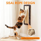 5in1 Cat Wall Shelves Climbing Systems, Large Cat Furniture Shelf Set Wall Hanging Mounted, Sisal Scratching Perch Bed 2 Steps Tower Tree for Indoor House Corner Ladder
