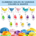 TOPNEW 20PC Kids Climbing Holds, Climbing Rocks for Play Set, Swingset - Adult Rock Wall Holds with Mounting Hardware for Indoor Outdoor Climbing Wall, Pastel Color