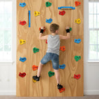TOPNEW 20PCS Rock Climbing Holds with 2 Safety Handles, Non-Slip Kids Climbing Grips, Indoor Outdoor Climbing Wall Kit with Complete Mounting Hardware, Ideal Gift for Playground & Home