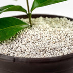 GARDENERA Premium Organic Perlite - Medium Grade - Horticultural Soil Amendment for Indoor & Outdoor Container Plants for Drainage Management and Enhanced Growth - 5 Quart